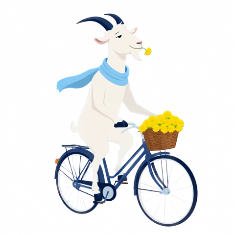 Козетта — Июнь — велосипед