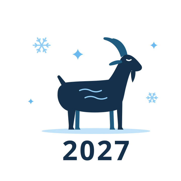Силуэт в полный рост — иллюстрация символа 2027 года
